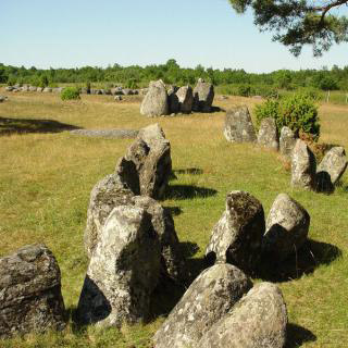 Kalkstein Limestone Gotland Hanse 23