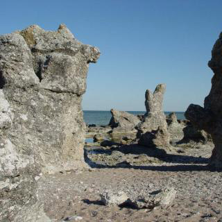Kalkstein Limestone Gotland Hanse 27