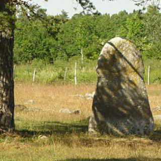 Kalkstein Limestone Gotland Hanse 33