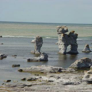 Kalkstein Limestone Gotland Hanse 8